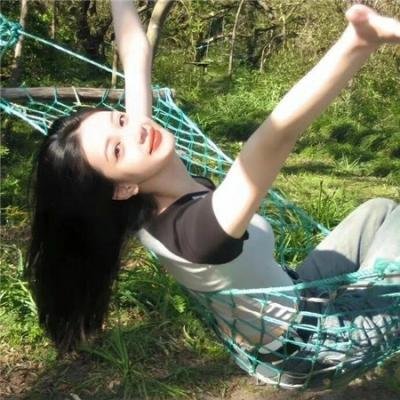 拜访森林